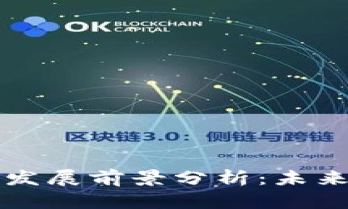 莱特币区块链发展前景分析：未来的机遇与挑战