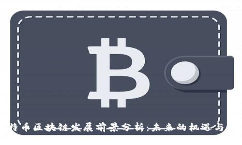 莱特币区块链发展前景分析：未来的机遇与挑战