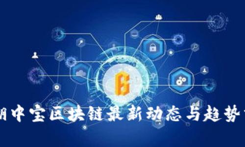 新湖中宝区块链最新动态与趋势分析