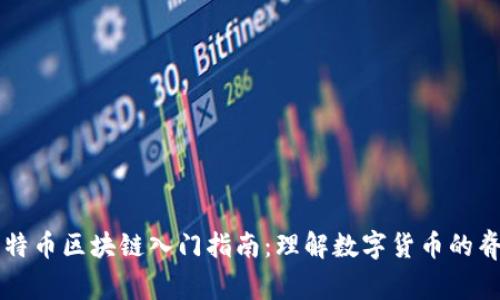 比特币区块链入门指南：理解数字货币的脊梁