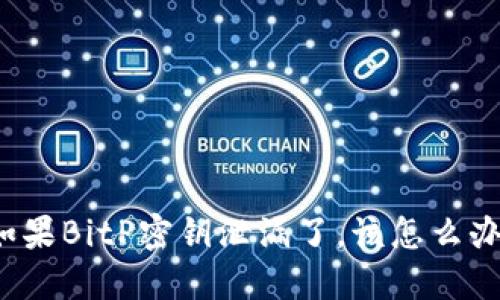 如果BitP密钥泄漏了，该怎么办？