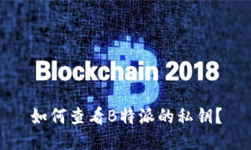 如何查看B特派的私钥？