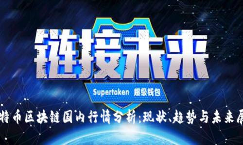 比特币区块链国内行情分析：现状、趋势与未来展望