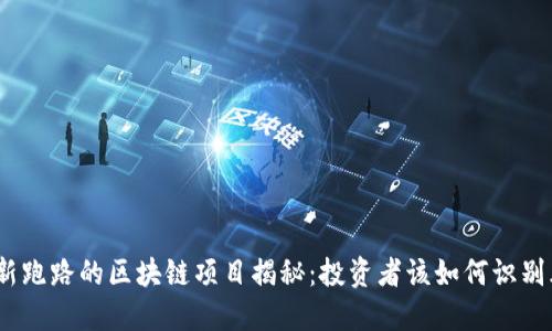: 最新跑路的区块链项目揭秘：投资者该如何识别风险？
