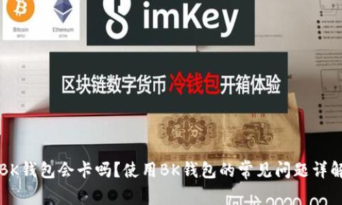 BK钱包会卡吗？使用BK钱包的常见问题详解