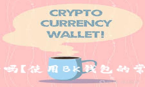 BK钱包会卡吗？使用BK钱包的常见问题详解