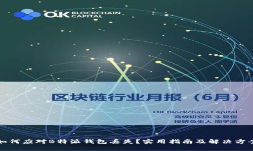 如何应对B特派钱包丢失？实用指南及解决方案