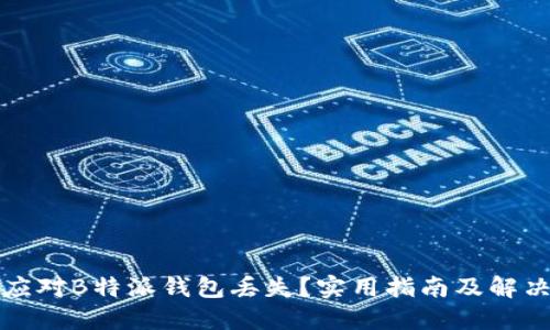如何应对B特派钱包丢失？实用指南及解决方案