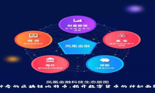 神奇的区块链比特币：揭开数字货币的神秘面纱