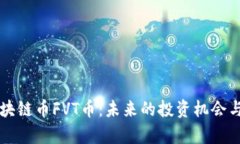 即将上市的区块链币FVT币