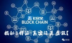 揭秘B特派：真实还是虚假