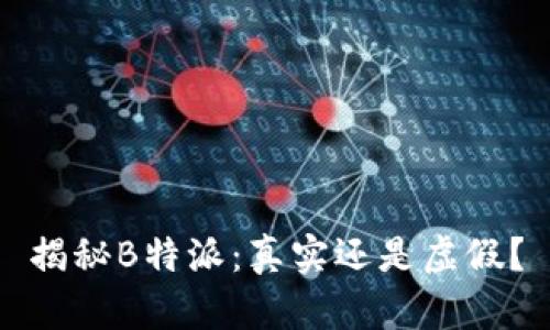 揭秘B特派：真实还是虚假？