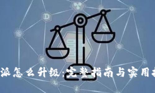 b特派怎么升级：完整指南与实用技巧