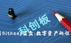 深入解析BitKeep盲盒：数字