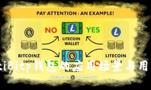 biasotiBitp钱包的应用场景与用户指南
