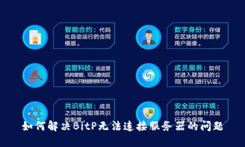 如何解决BitP无法连接服务器的问题
