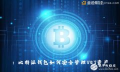 : 比特派钱包如何安全管理VET资产
