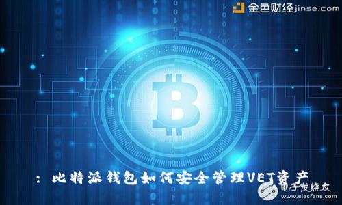 : 比特派钱包如何安全管理VET资产