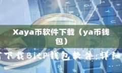 如何下载BitP钱包软件：详