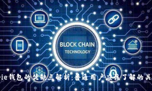 Bitpie钱包的优缺点解析：普通用户应该了解的关键点