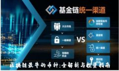   区块链最牛的币种：全解析与投资指南
