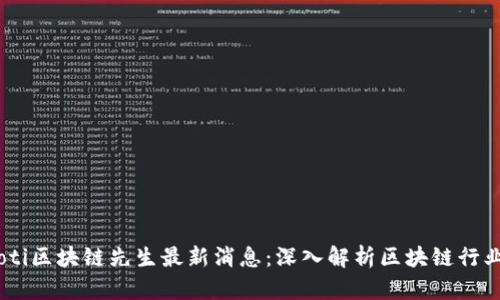 biasoti区块链先生最新消息：深入解析区块链行业动态