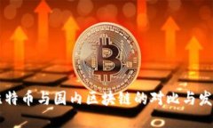 国外比特币与国内区块链的对比与发展展望