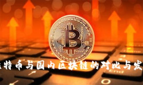 国外比特币与国内区块链的对比与发展展望