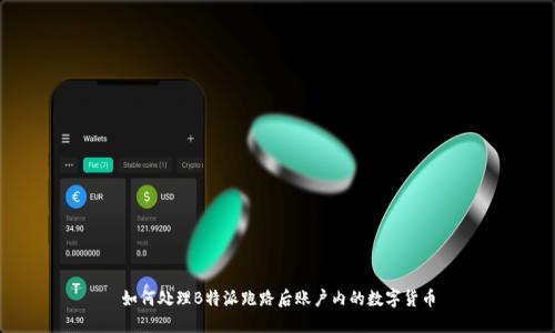如何处理B特派跑路后账户内的数字货币