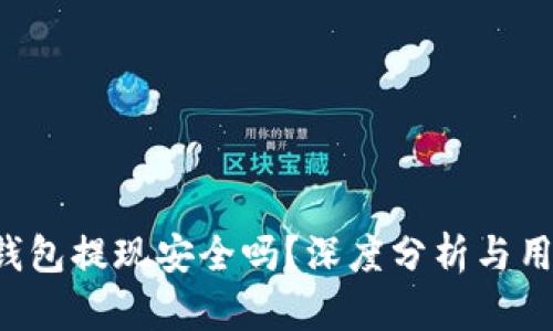 b特派钱包提现安全吗？深度分析与用户指南