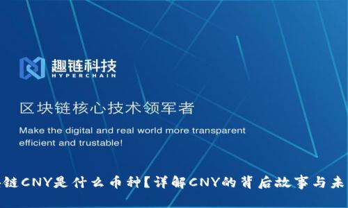 : 区块链CNY是什么币种？详解CNY的背后故事与未来发展