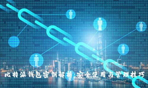 比特派钱包密钥解析：安全使用与管理技巧