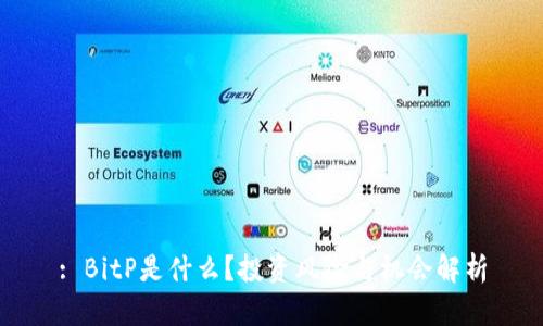 : BitP是什么？投资风险与机会解析