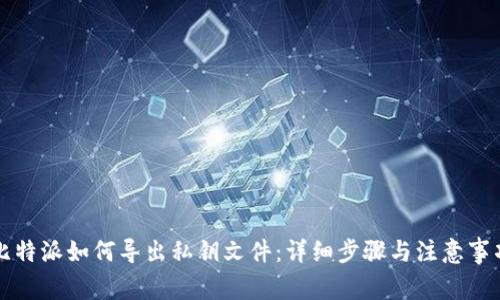 比特派如何导出私钥文件：详细步骤与注意事项