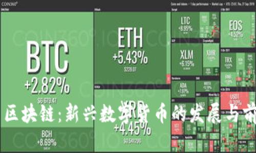 FOFT币区块链：新兴数字货币的发展与前景分析