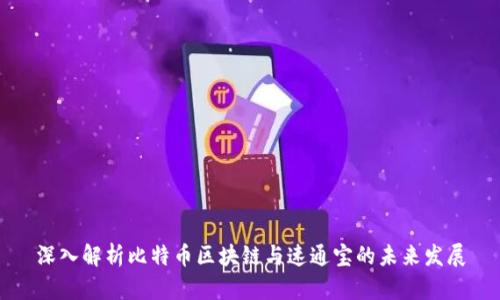 深入解析比特币区块链与速通宝的未来发展