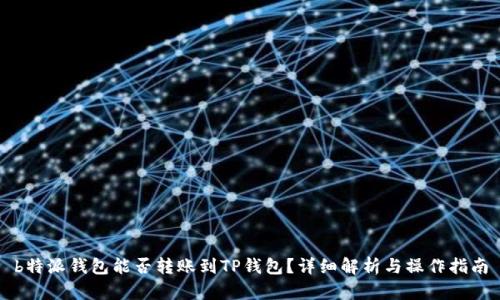 b特派钱包能否转账到TP钱包？详细解析与操作指南