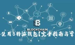 如何在国外使用B特派钱包