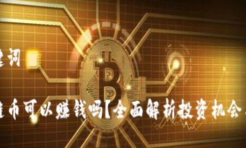 与关键词

区块链币可以赚钱吗？全面解析投资机会与风险