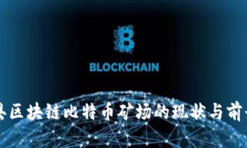 峡江县区块链比特币矿场的现状与前景分析