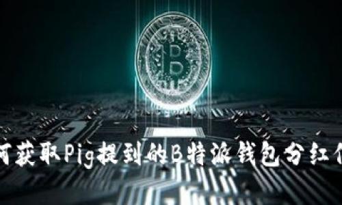 如何获取Pig提到的B特派钱包分红信息