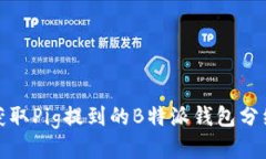 如何获取Pig提到的B特派钱