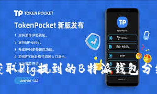如何获取Pig提到的B特派钱包分红信息
