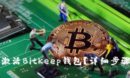 如何激活BitKeep钱包？详细步骤解析