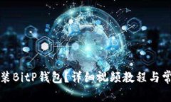如何下载安装BitP钱包？详