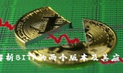 深入解析BITP的两个版本及