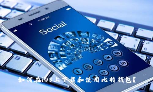 如何在iOS上下载和使用比特钱包？