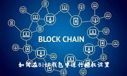 如何在BitP钱包中进行授权设置