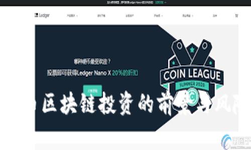 : 山寨币区块链投资的前景与风险分析