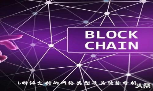 b特派支持的网络类型及其优势分析